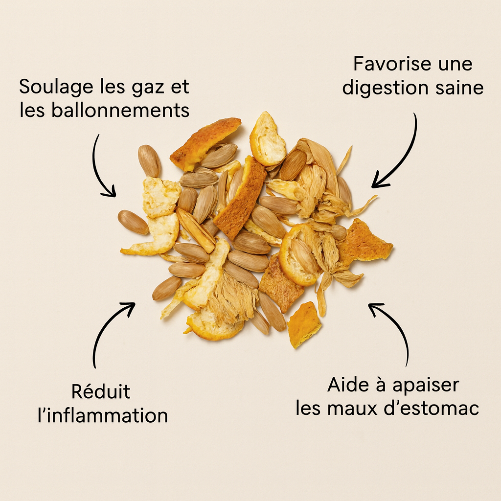 Infusion : Digestion facile