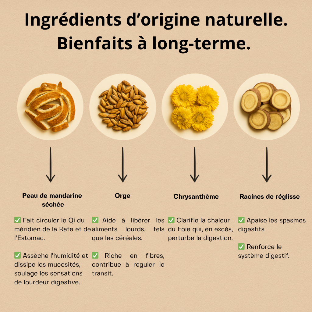 Infusion : Digestion facile