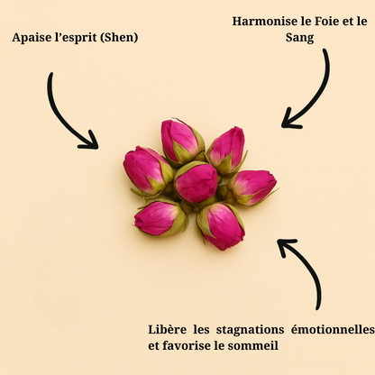 Boutons de rose