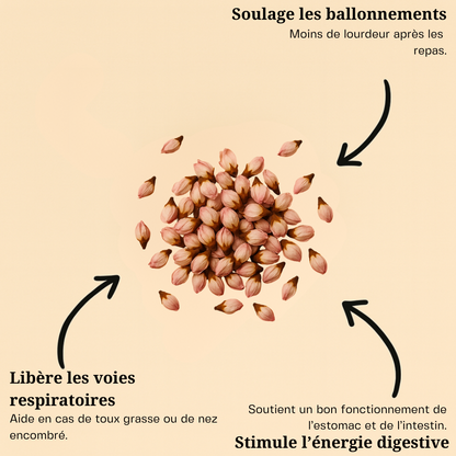 Fleur de pêcher