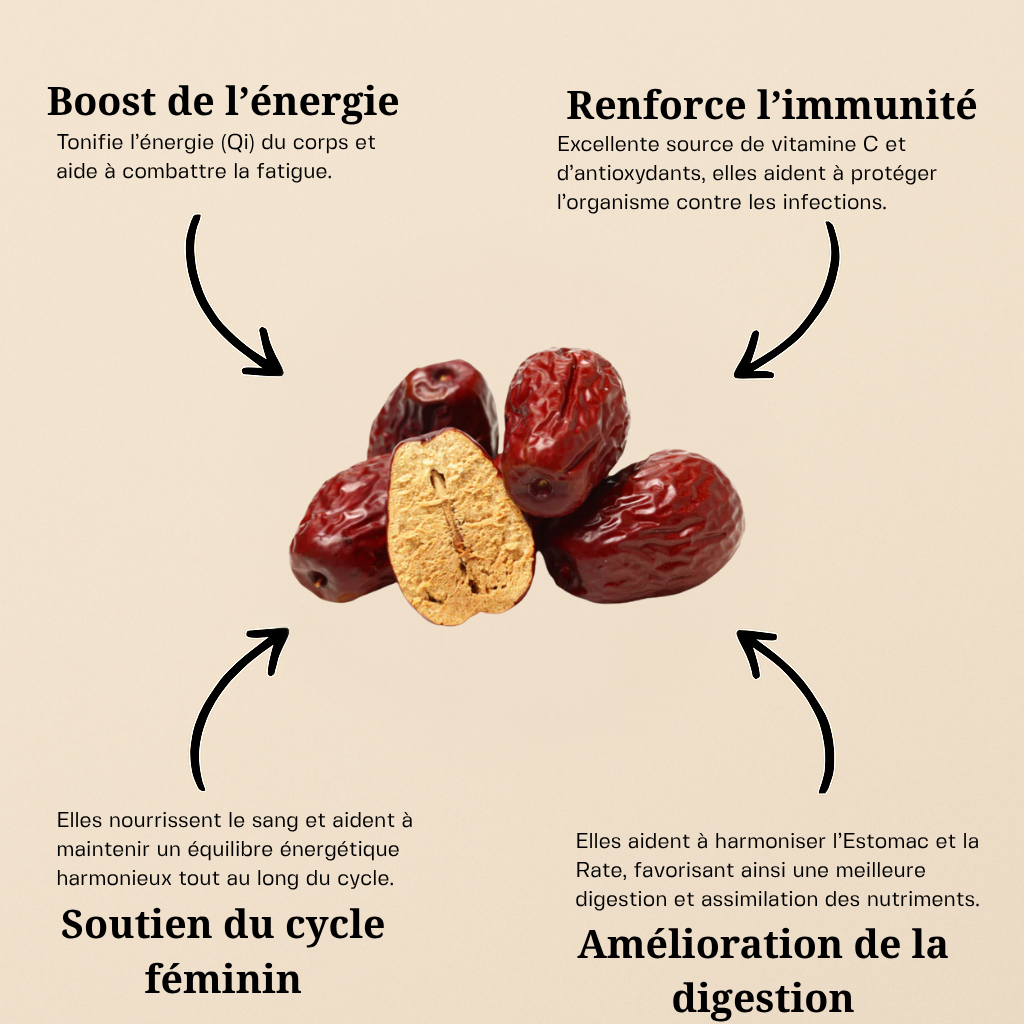Datte chinoise ( Fruit de Jujube )