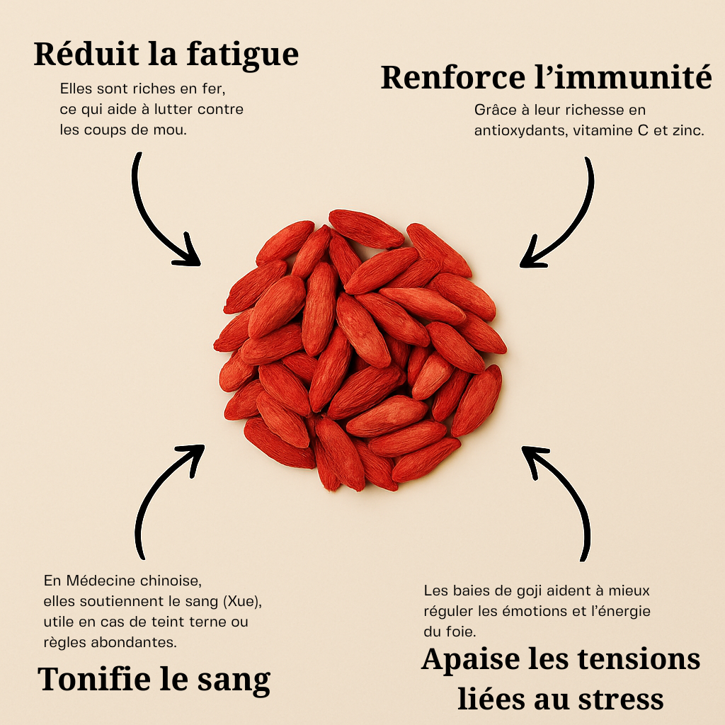 Baie de Goji ( Fruit de la longévité ) BIO