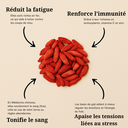 Baie de Goji ( Fruit de la longévité ) BIO