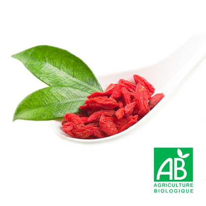 Baie de Goji ( Fruit de la longévité ) BIO