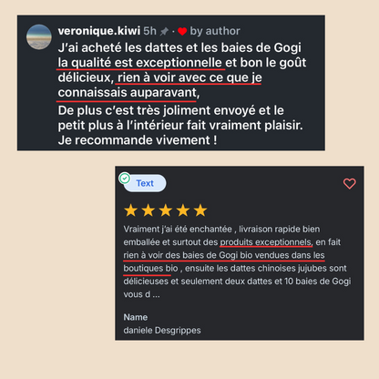 Baie de Goji ( Fruit de la longévité ) BIO